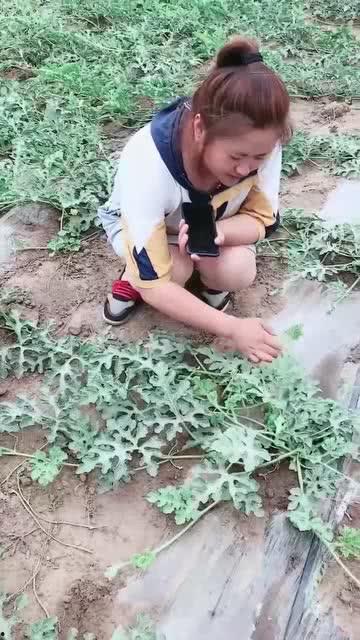 吃瓜娱乐范老师,揭秘娱乐圈幕后故事